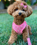 Designer Cat  Dog Harness and Leash Set