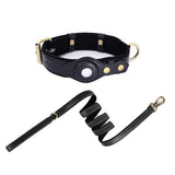 Leather AirTag dog collar and leash set