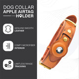 Leather AirTag dog collar and leash set
