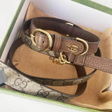 Genuine leather dog collar with handle and leash