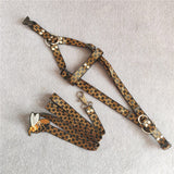 Monogram strap dog harness and matching leash