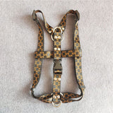Monogram strap dog harness and matching leash