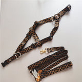 Monogram strap dog harness and matching leash