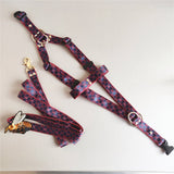 Monogram strap dog harness and matching leash