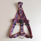 Monogram strap dog harness and matching leash