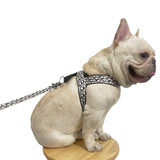 Monogram T-strap dog harness and leash set