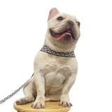Monogram T-strap dog harness and leash set