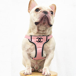 Pink Dog Cat Harness and Leash Set