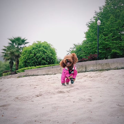 Dog Raincoats