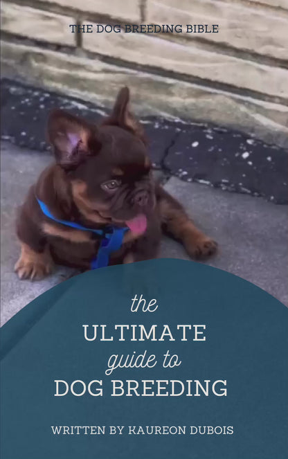 The Ultimate Guide to Dog Breeding