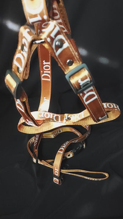 Gold Designer Dog Harness and Leash Sets