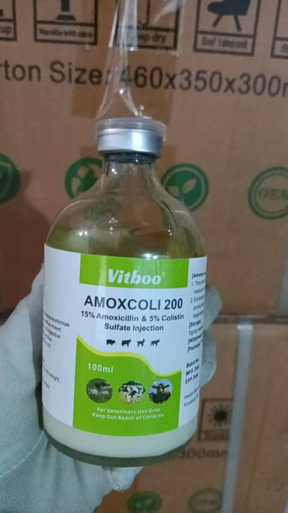 Amoxicillin 100ml