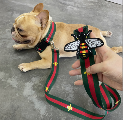 Red and Green Collar and Leash Set Wide Version