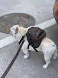 Designer Backpack and Leash