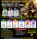 Chatgpt Bundle Ultimate Heat