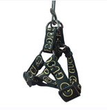 G Designer Dog Harness and Leash Sets