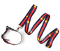 Gucci Dog Collar and Leash Set