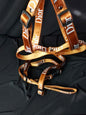 Gold Designer Dog Harness and Leash Sets