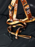 Gold Diory Designer Dog Harness and Leash Sets
