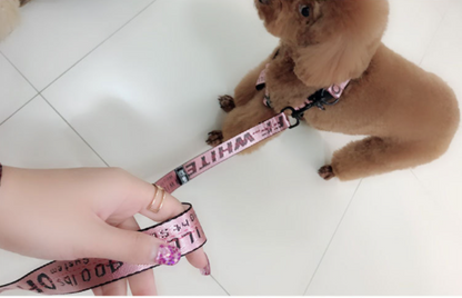 Off White Harness Leash Set