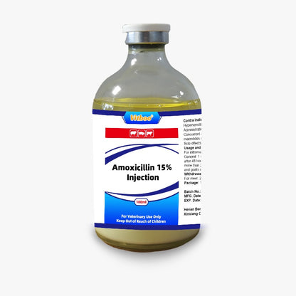 Amoxicillin 100ml