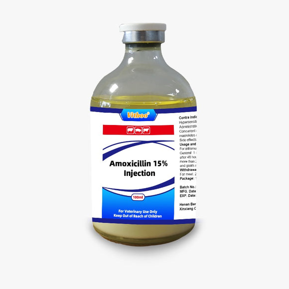 Amoxicillin 100ml