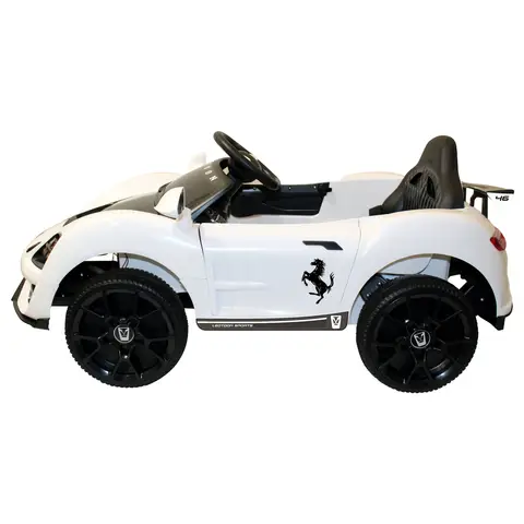 New Style 12v Lamborghini Car ride on for  dogs cats  classic ride on ride on car