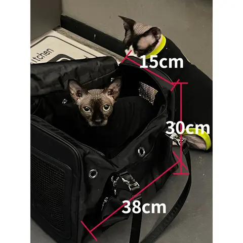 P Style Airline Approved Pet Carrier