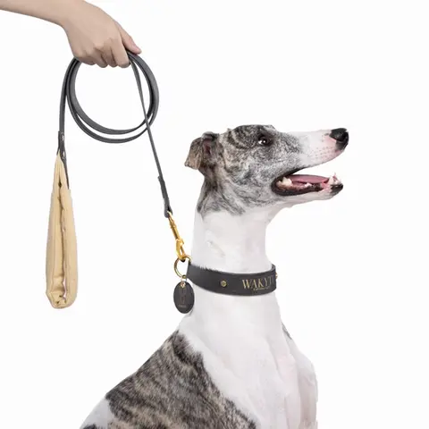 Dog Collar and Leash Set