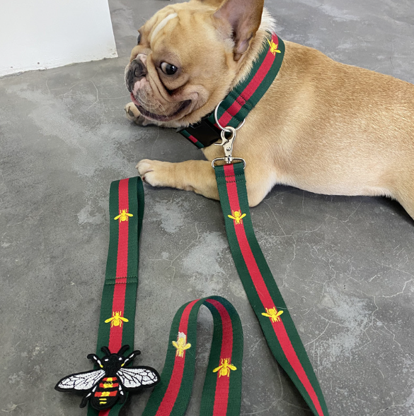 Red and Green Collar and Leash Set Wide Version