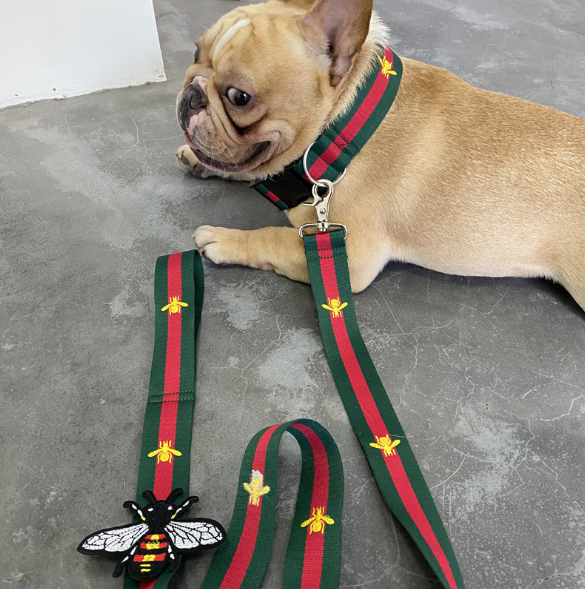 Gucci Red and Green Collar and Leash Set Wide Version