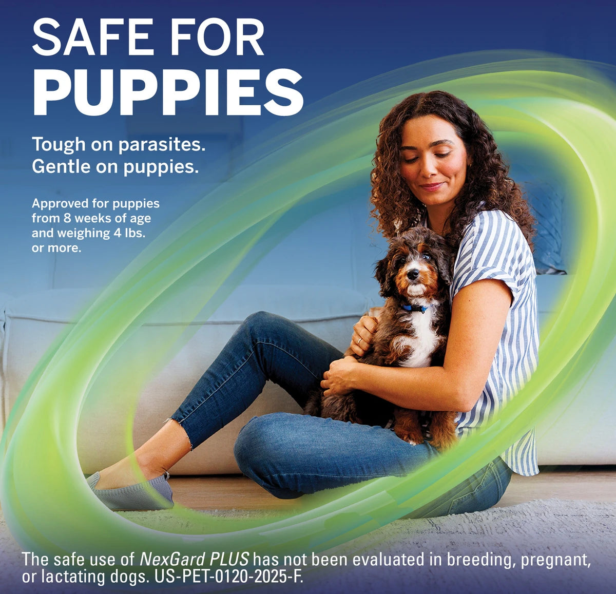 NexGard PLUS Chewables for Dogs, 3 Chewable Tablet (3-mo. supply)