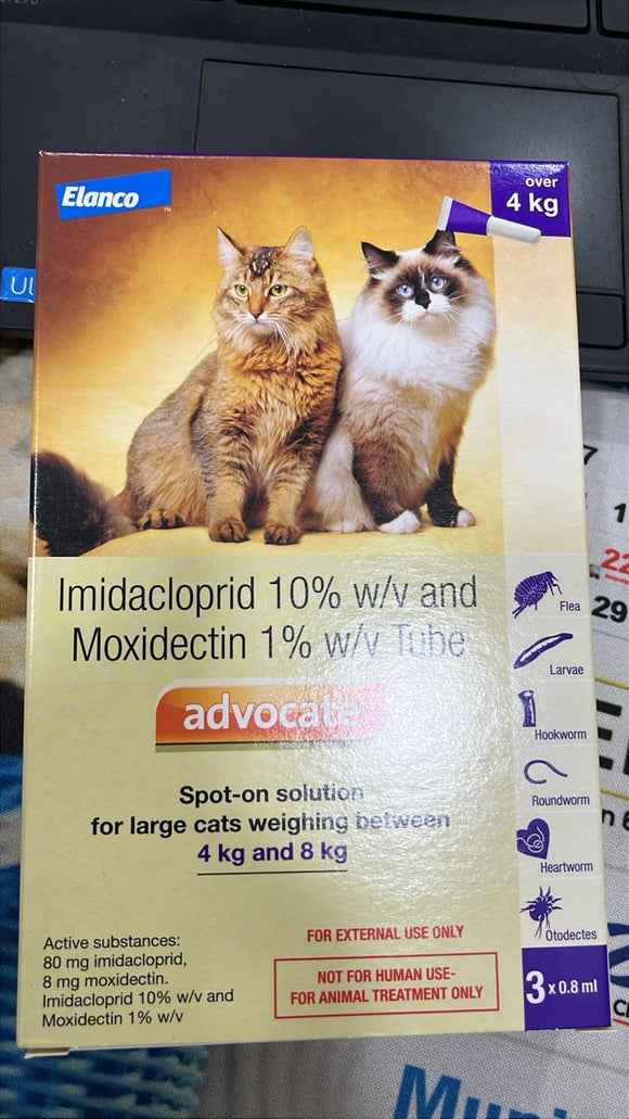 Advocate Spot-On Solution for Large Cats (4–8 kg) – 3 Tubes