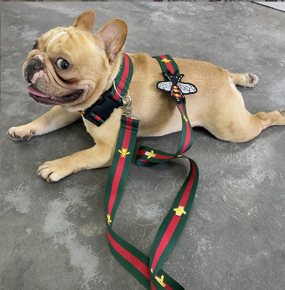 Red and Green Collar and Leash Set Wide Version