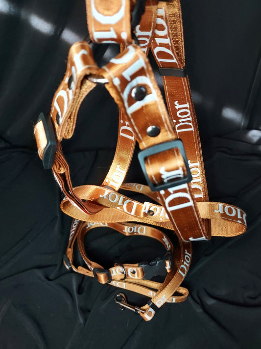 Gold Designer Dog Harness and Leash Sets