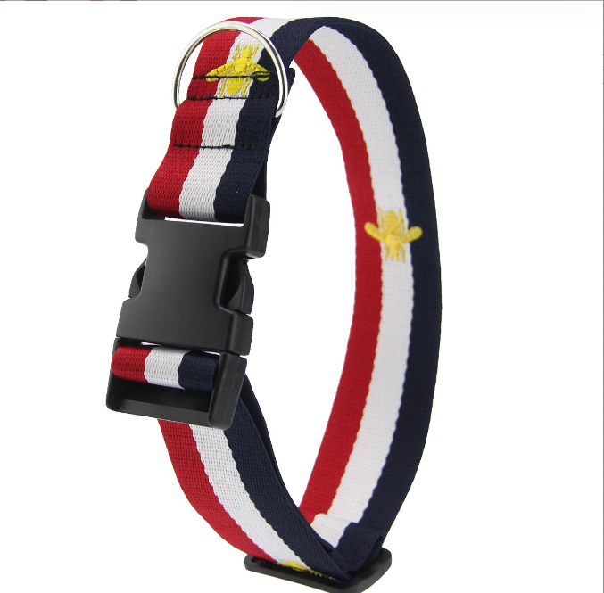 Guccy Dog Collar and Leash Set