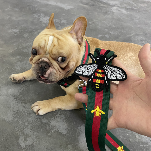 Red and Green Collar and Leash Set Wide Version