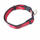 Sport dog collar and leash set