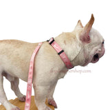 Sport dog collar and leash set