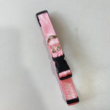 Sport dog collar and leash set
