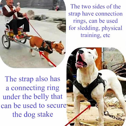 Training Durable Dog Harness and Leash for Dogs Heavy Duty Harness