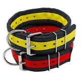 5pk special $75 4 ply nylon dog collar