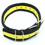 5pk special $75 4 ply nylon dog collar
