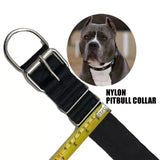 5pk special $75 4 ply nylon dog collar