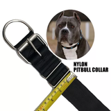 30 pack 4 ply nylon dog collar