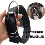 5pk special $75 4 ply nylon dog collar