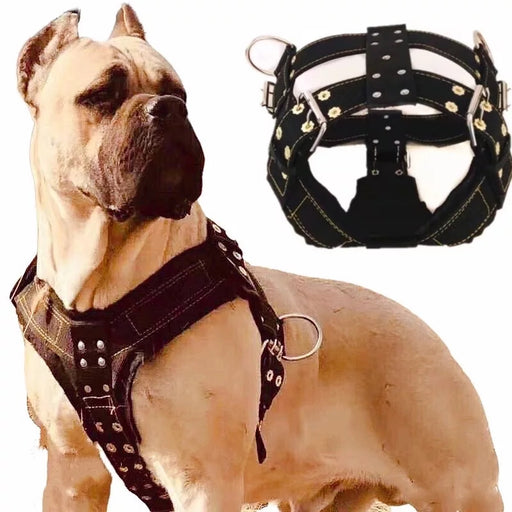 Training Durable Dog Harness and Leash for Dogs Heavy Duty Harness