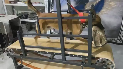 Treadmill for Dogs