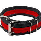 5pk special $75 4 ply nylon dog collar
