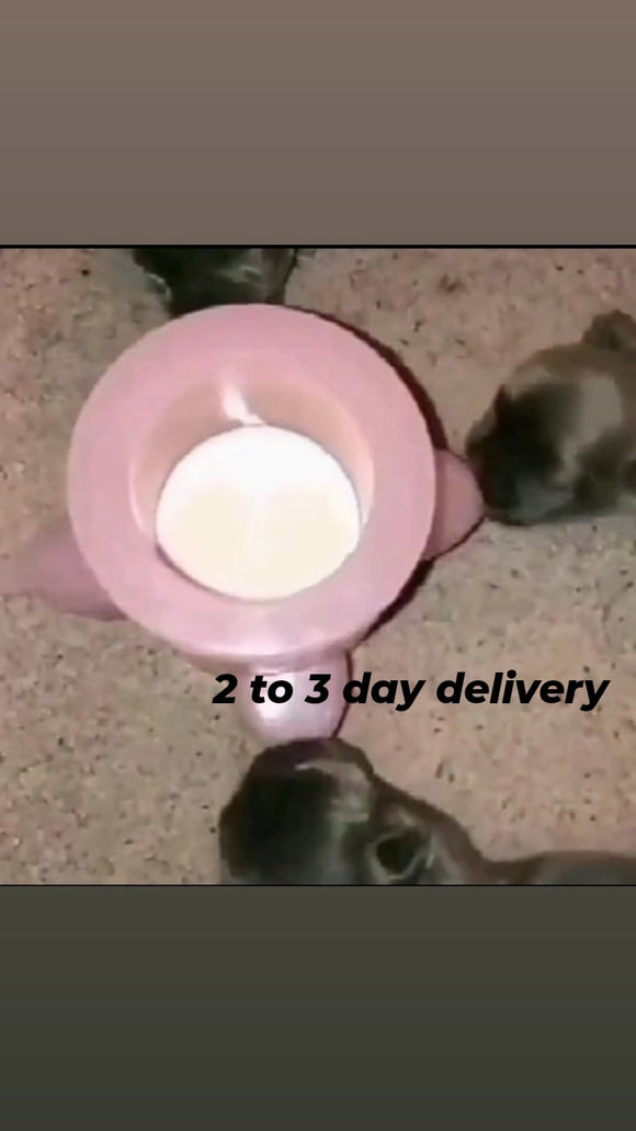 4 nipple silicone puppy feeding station The Natural! 100ml